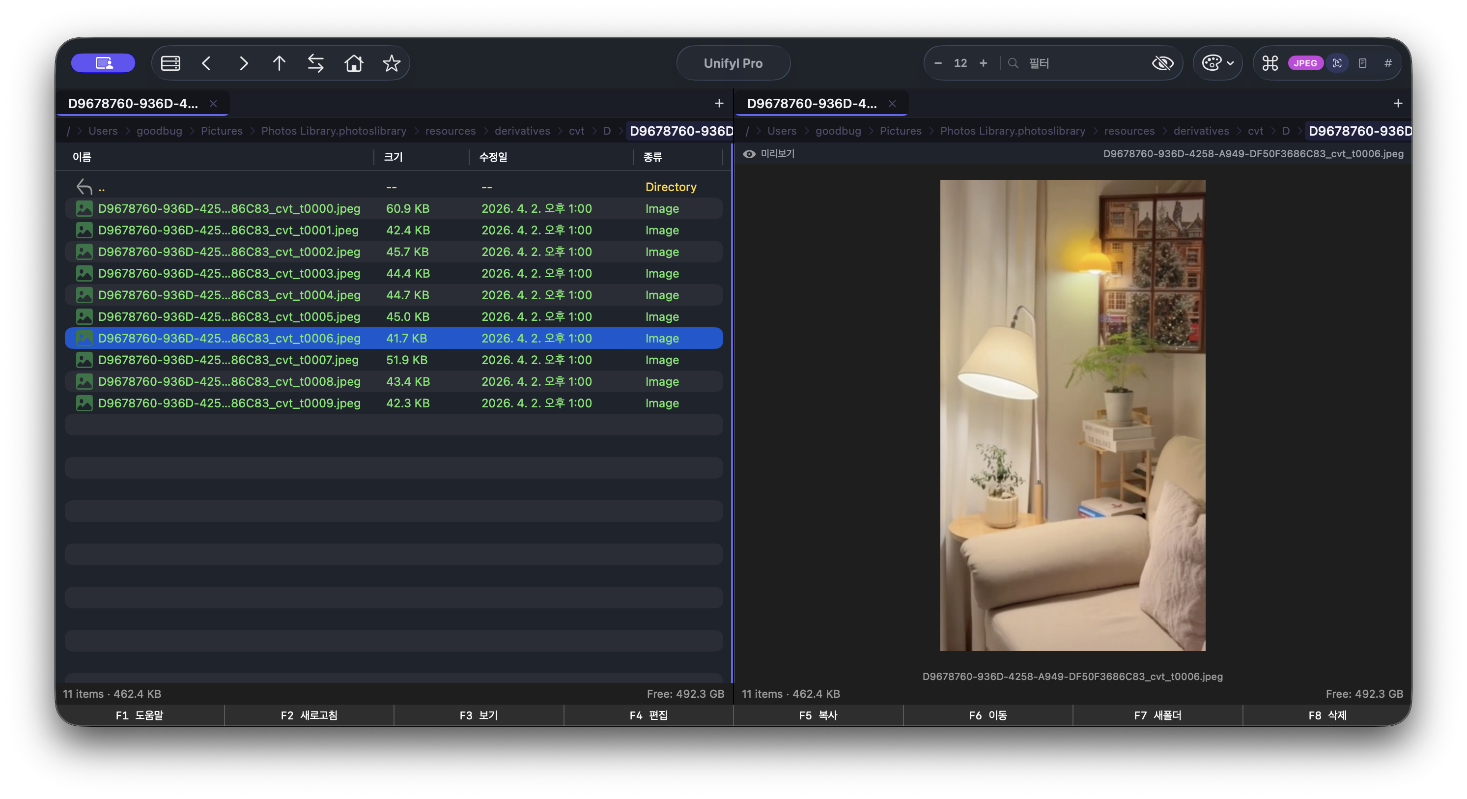 File preview with dual pane
