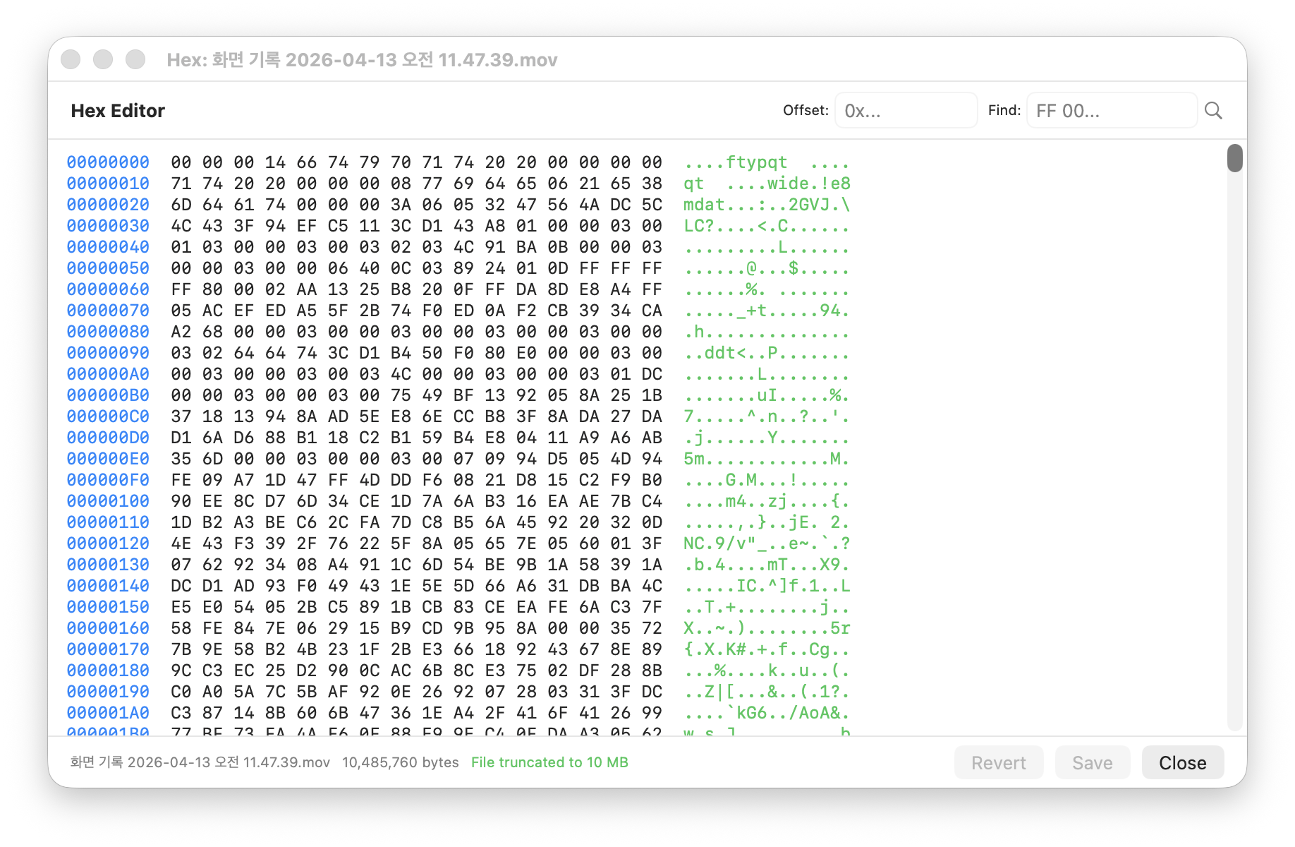 Hex Editor