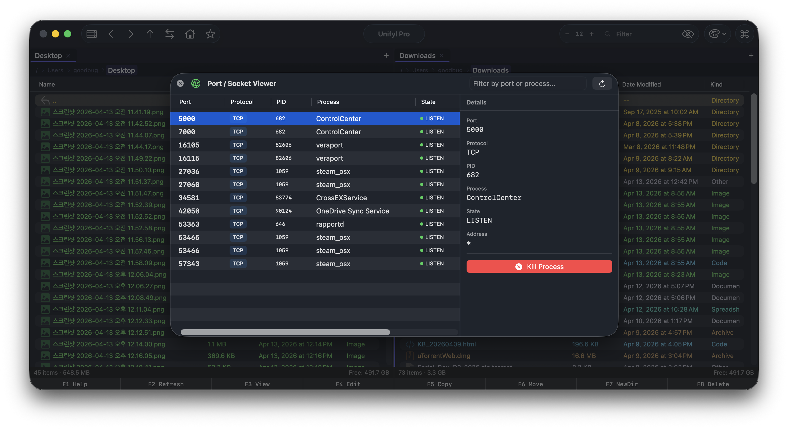 Port and socket viewer